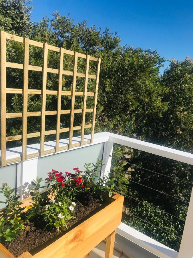 19 Malachite Mews Knysna Eksteriør bilde