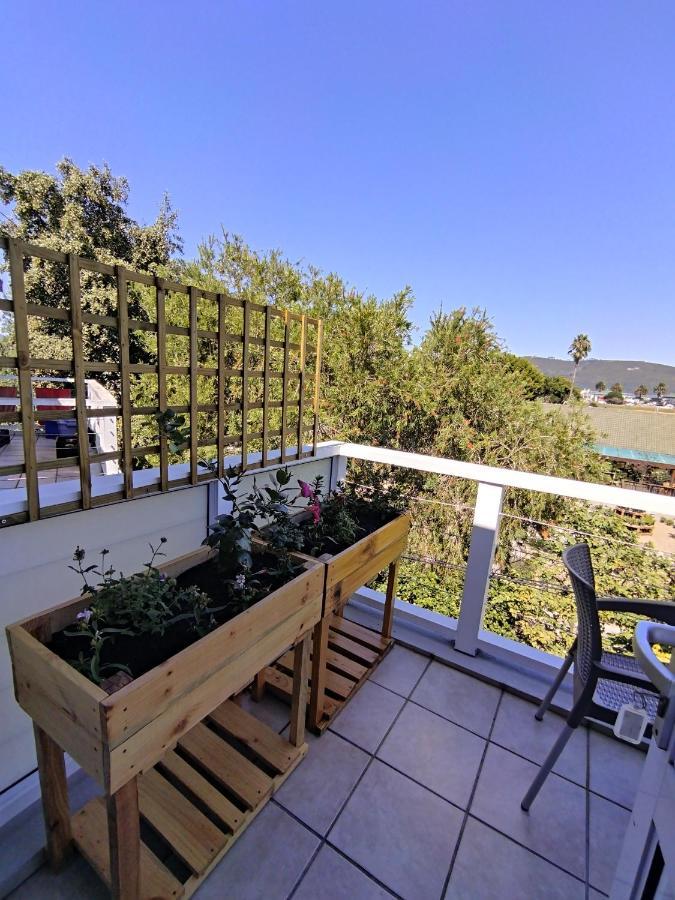 19 Malachite Mews Knysna Eksteriør bilde